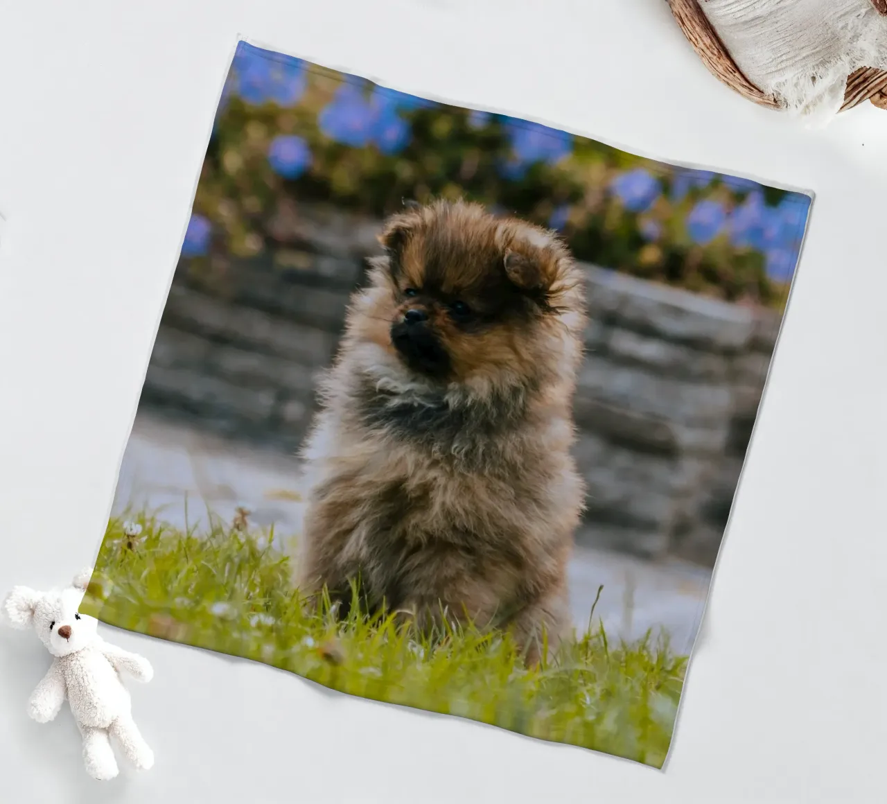 cucciolo sull'erba coperta in pile da animal story home