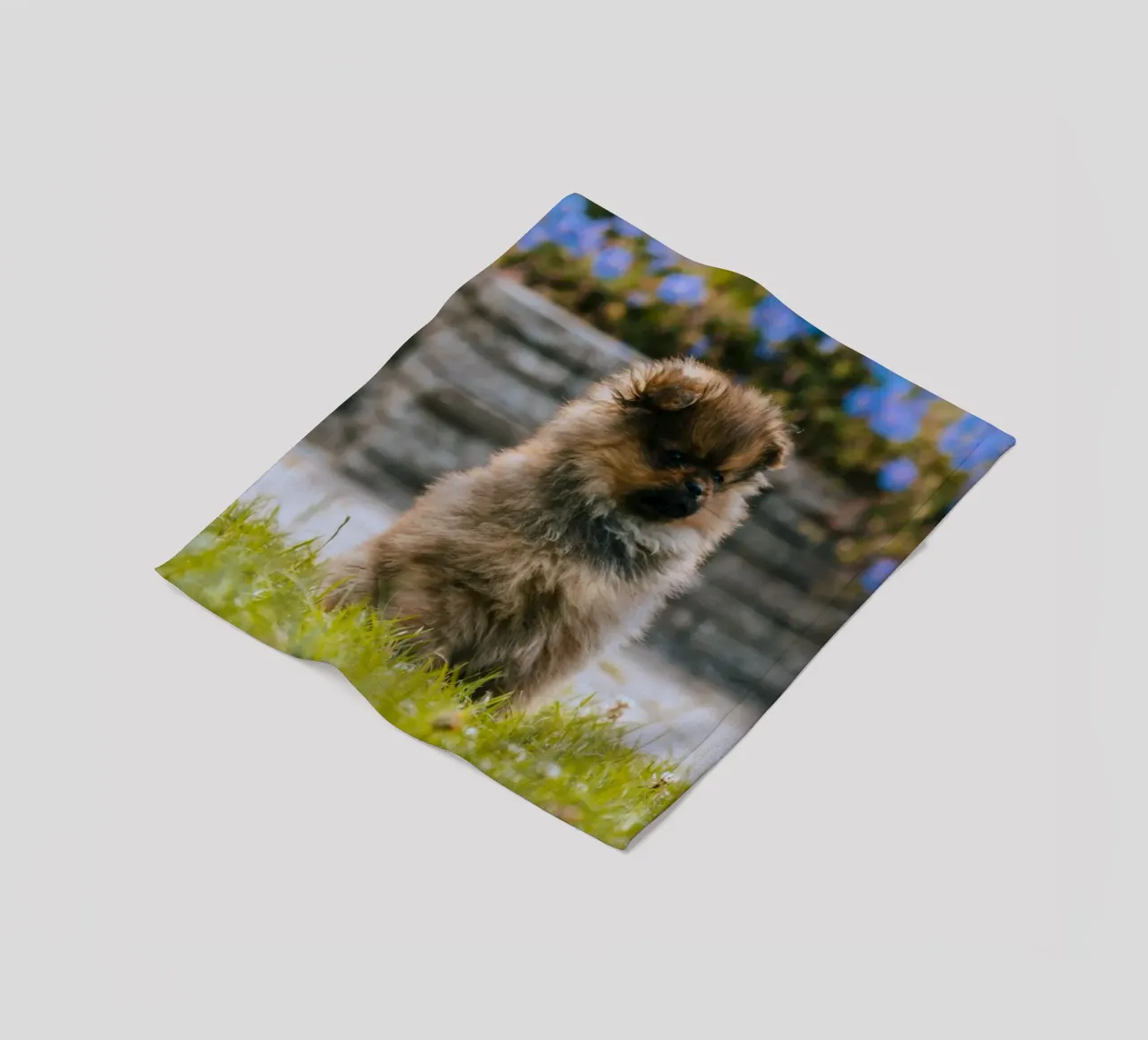 cucciolo sull'erba coperta in pile da animal story home