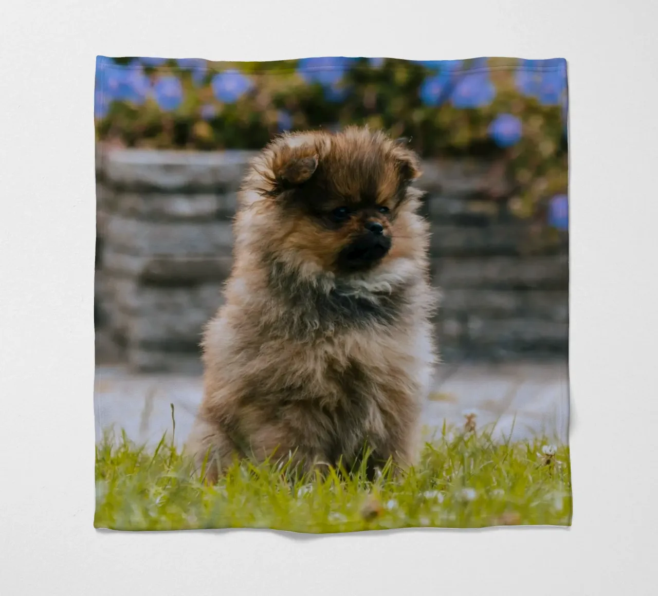 cucciolo sull'erba coperta in pile da animal story home