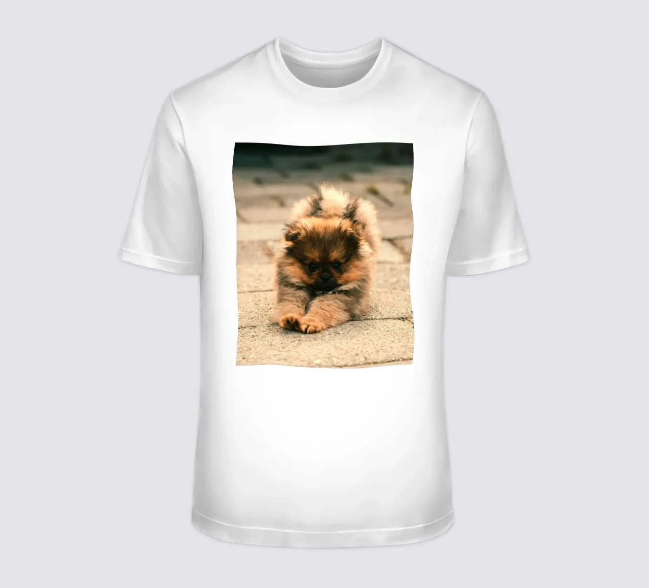 piccolo cucciolo giocoso t-shirt da animal story home