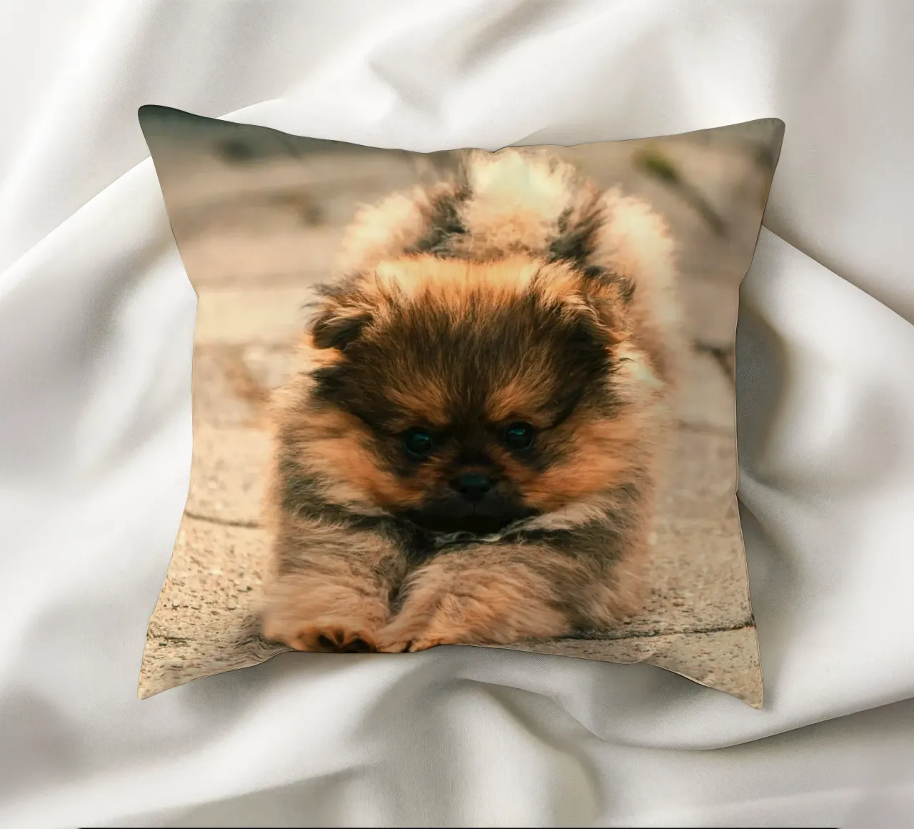 piccolo cucciolo giocoso cuscino da animal story home