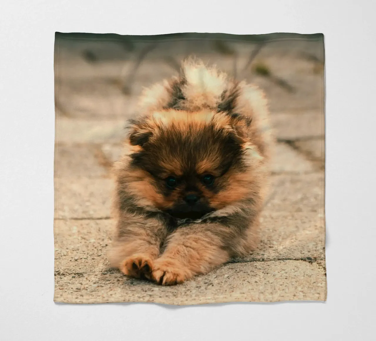 piccolo cucciolo giocoso coperta in pile da animal story home