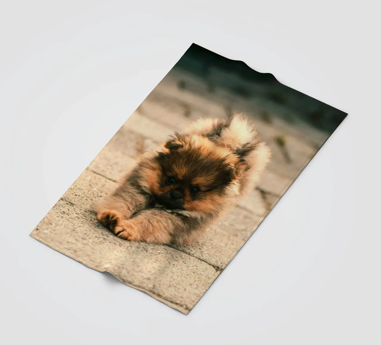 piccolo cucciolo giocoso coperta in pile da animal story home