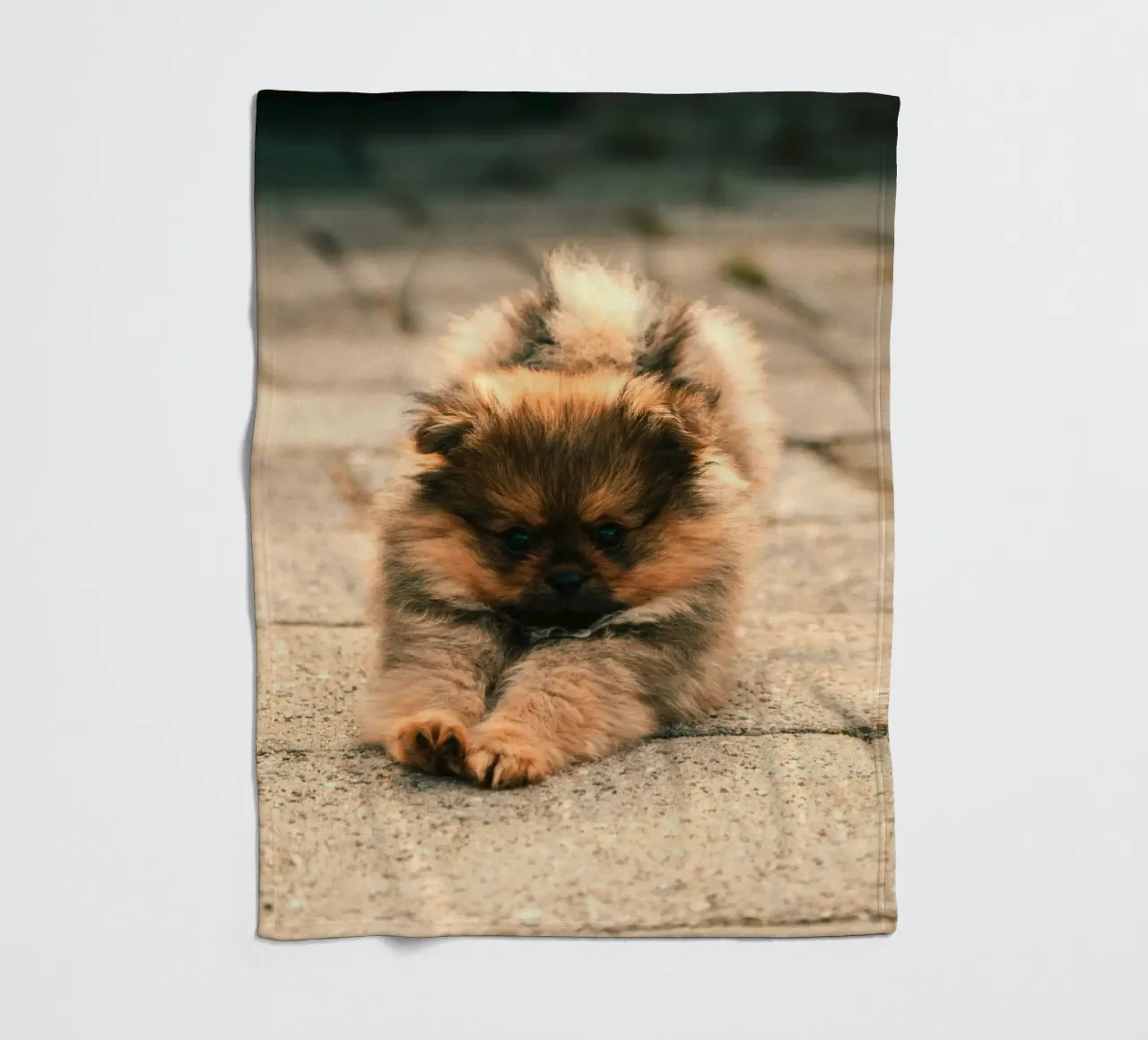 piccolo cucciolo giocoso coperta in pile da animal story home