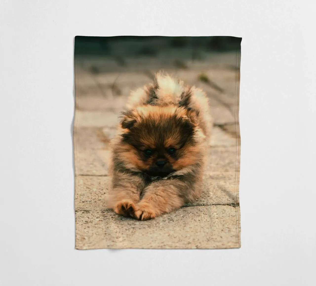 piccolo cucciolo giocoso coperta in pile da animal story home