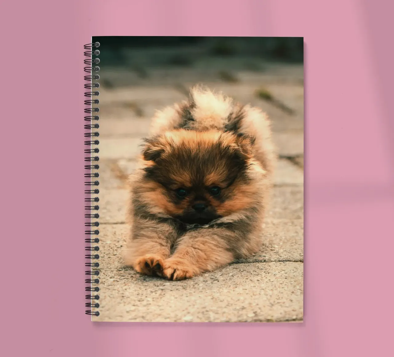 small puppy playful spiral notebook by animal story home