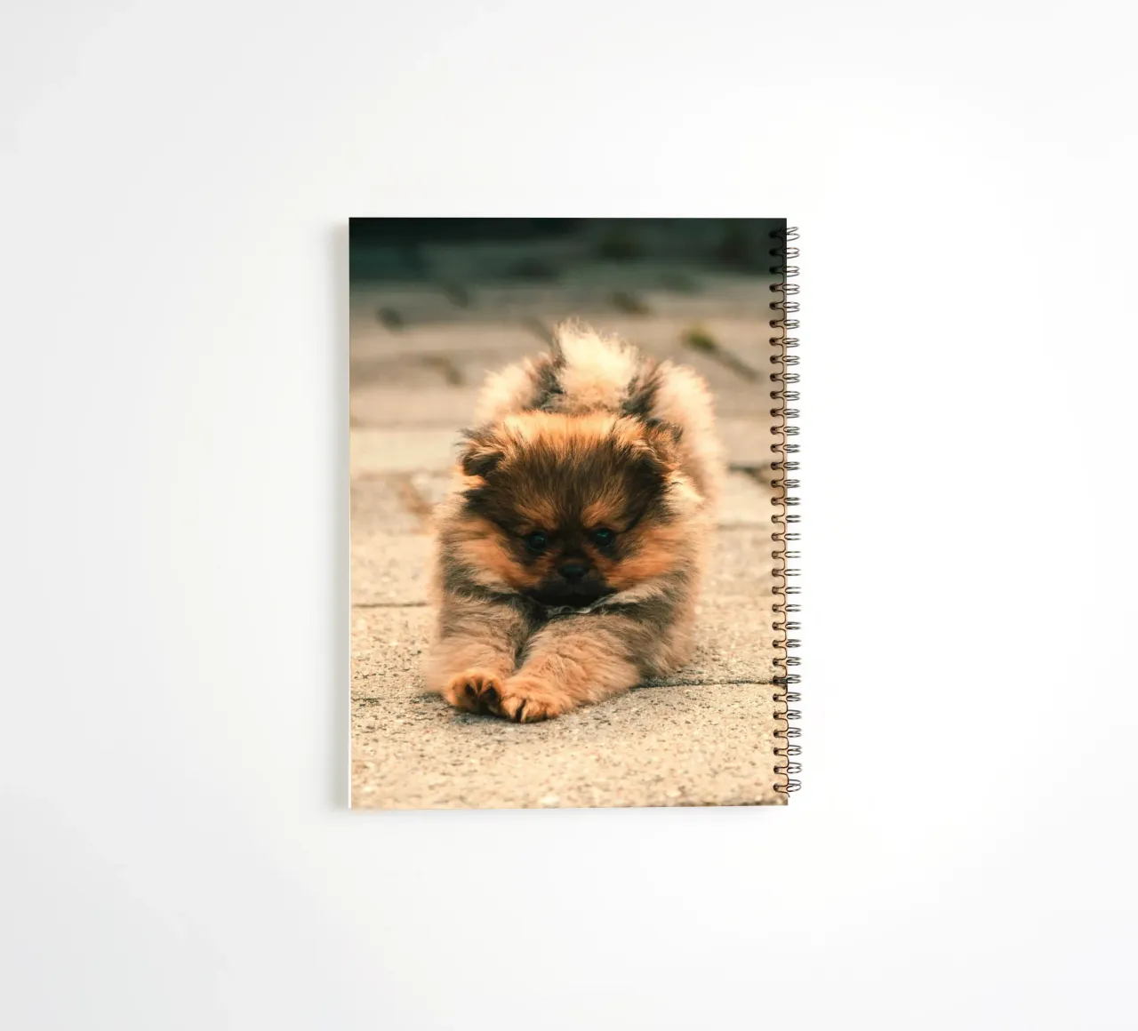 small puppy playful spiral notebook by animal story home