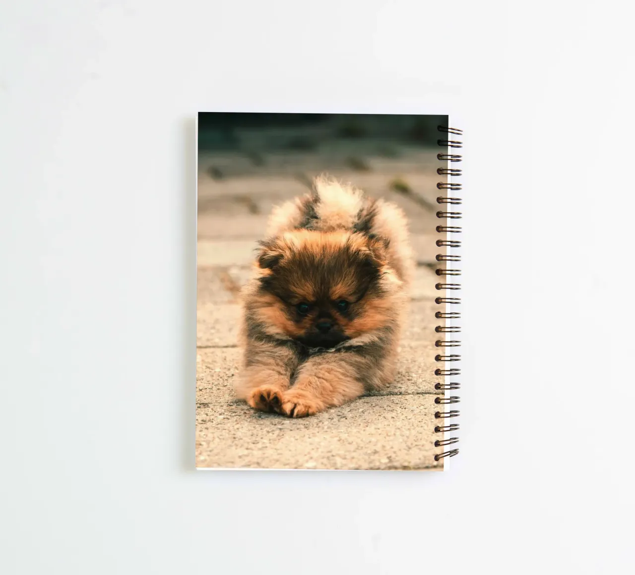 small puppy playful spiral notebook by animal story home