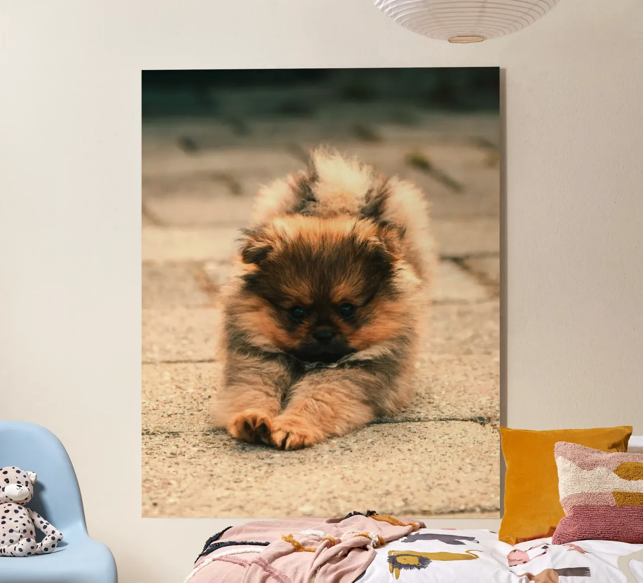 piccolo cucciolo giocoso plexiglass da animal story home