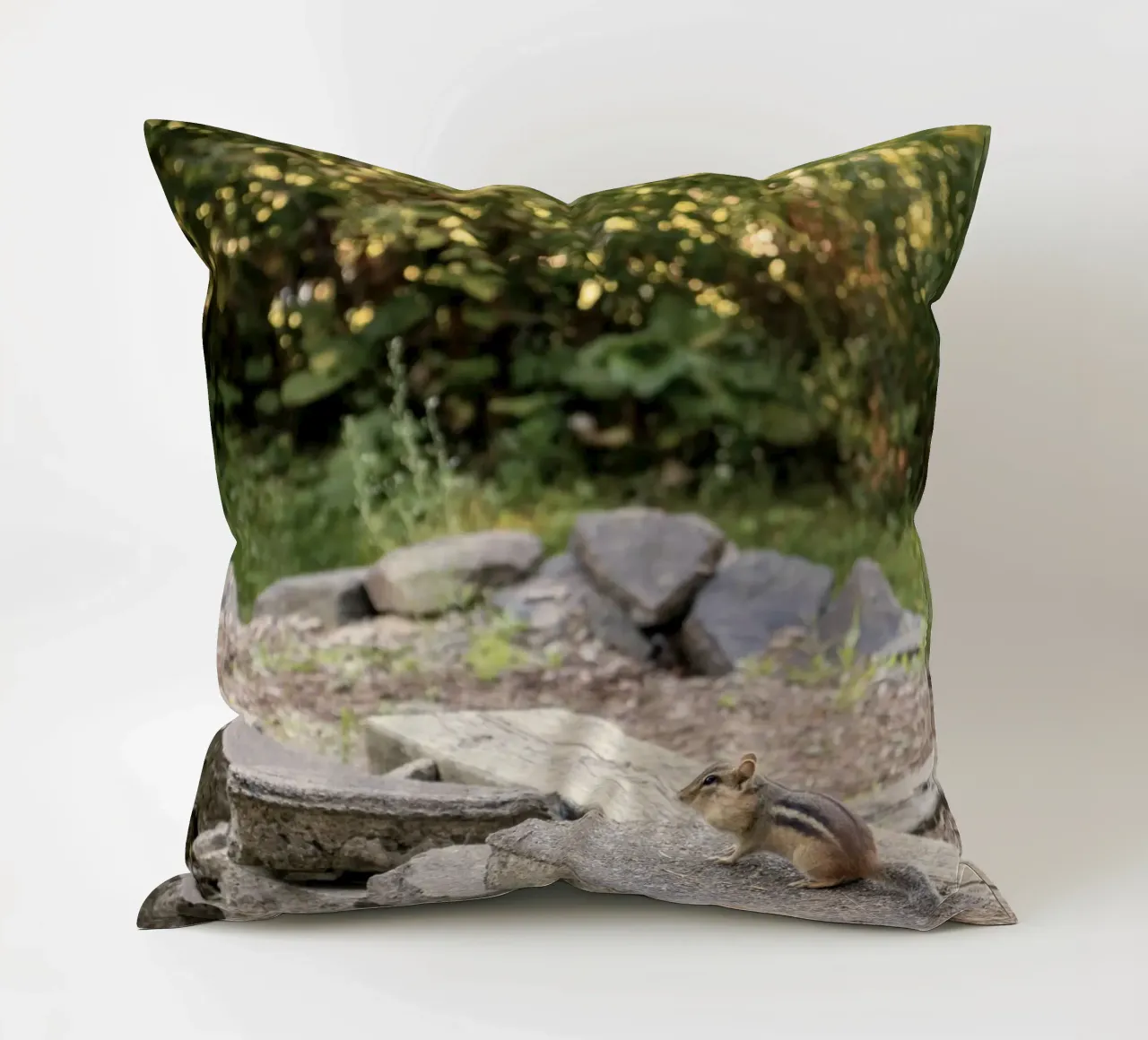 scoiattolo con rocce cuscino da animal story home