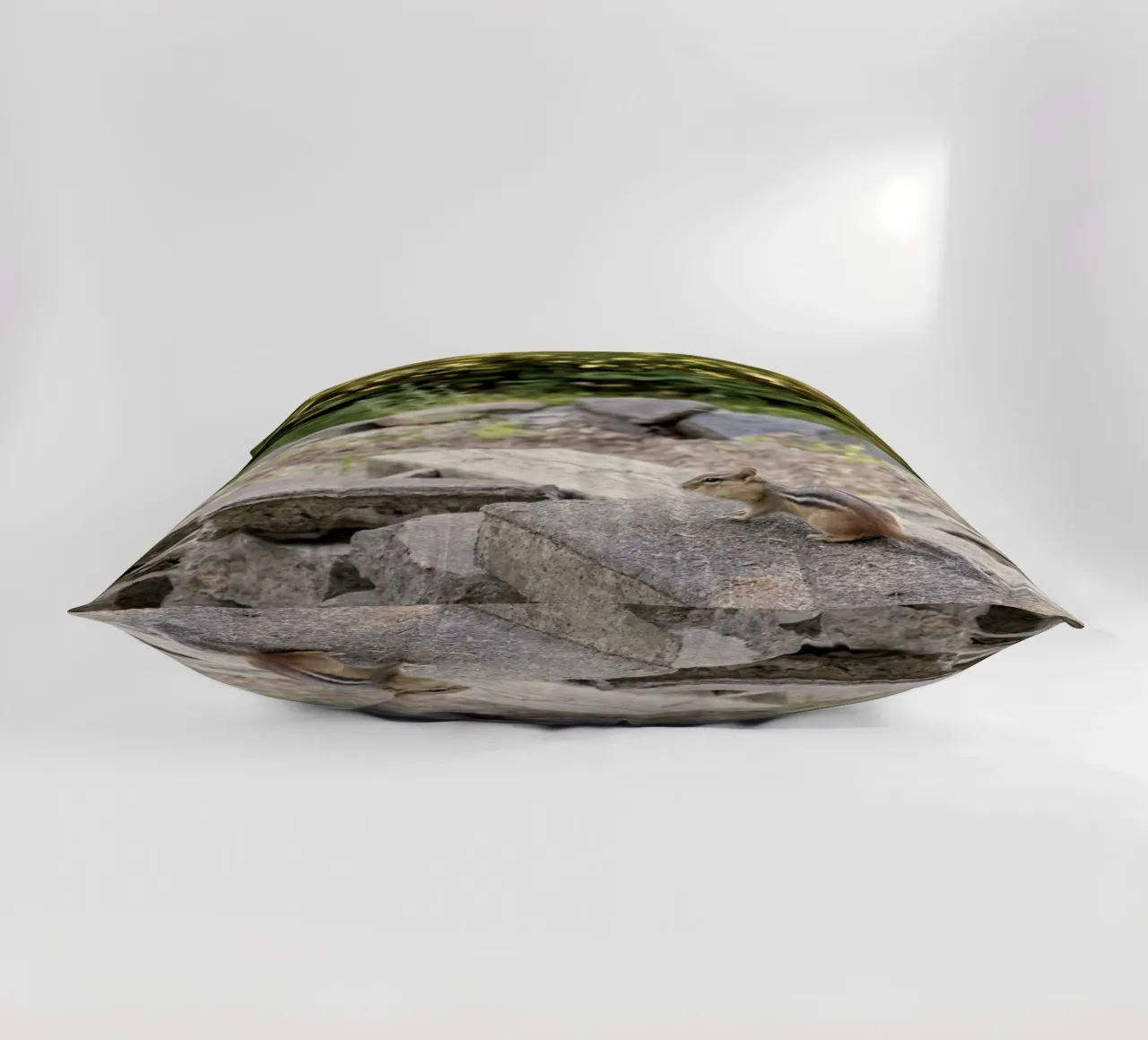 scoiattolo con rocce cuscino da animal story home