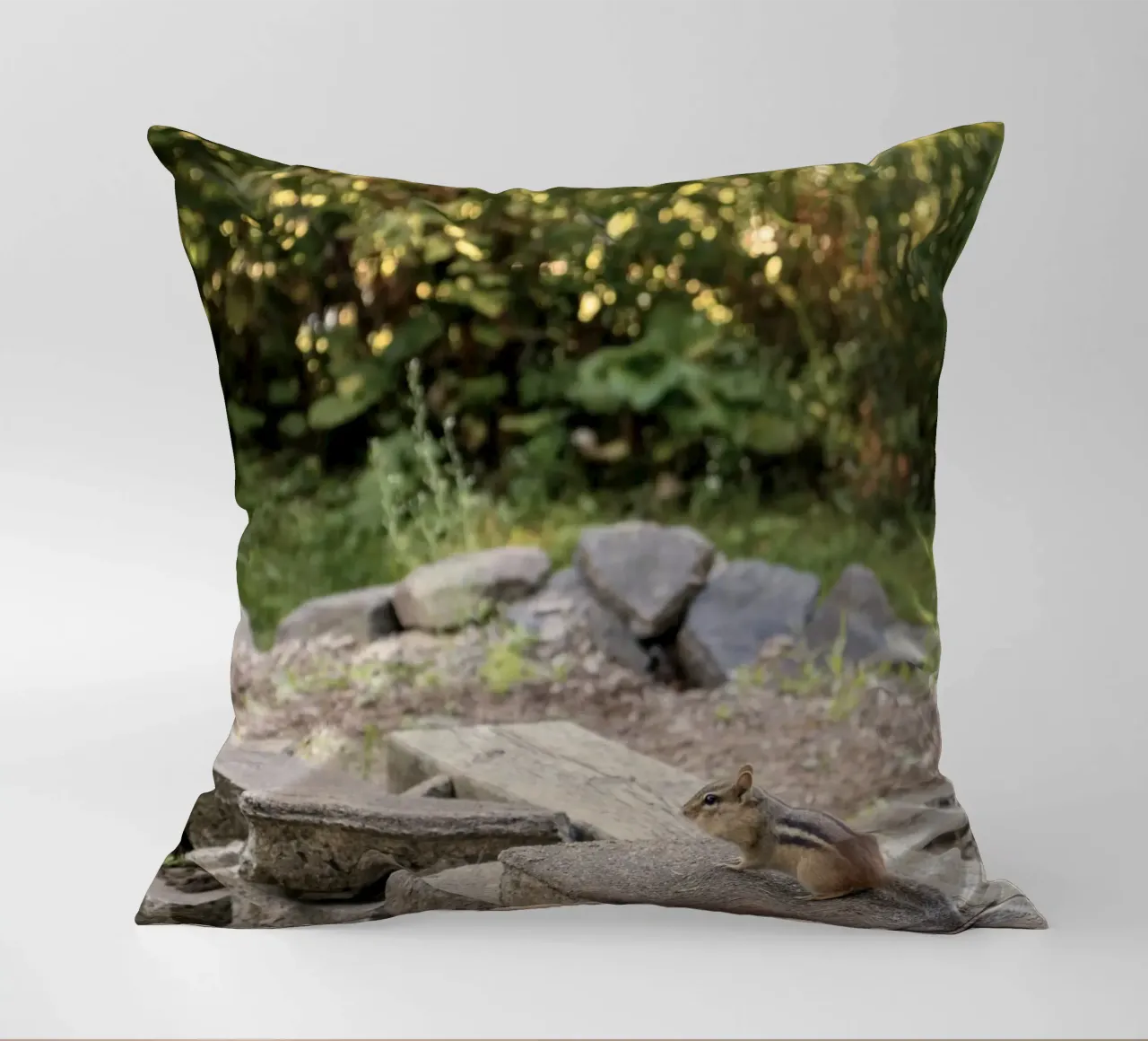 scoiattolo con rocce cuscino da animal story home