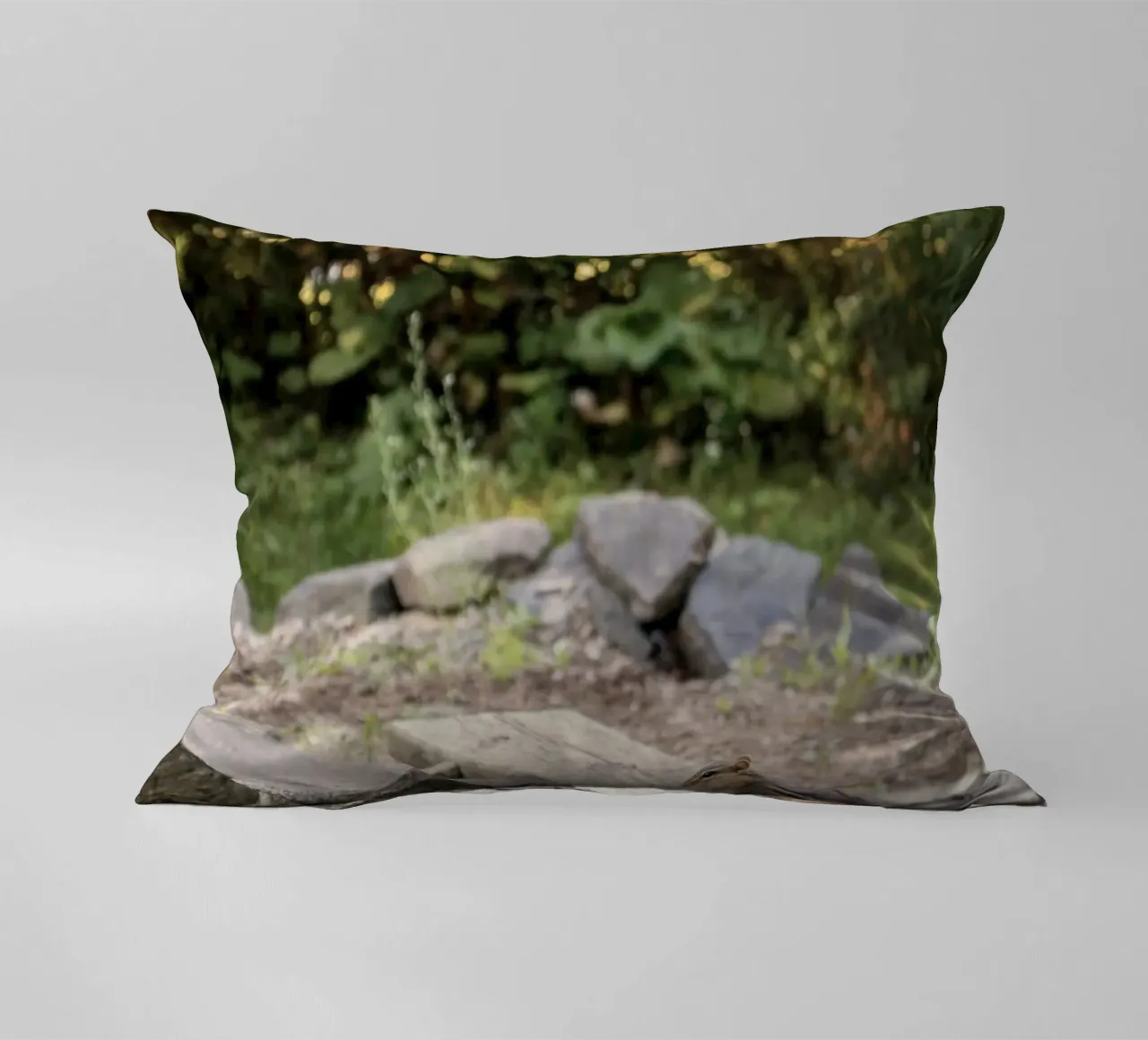 scoiattolo con rocce cuscino da animal story home