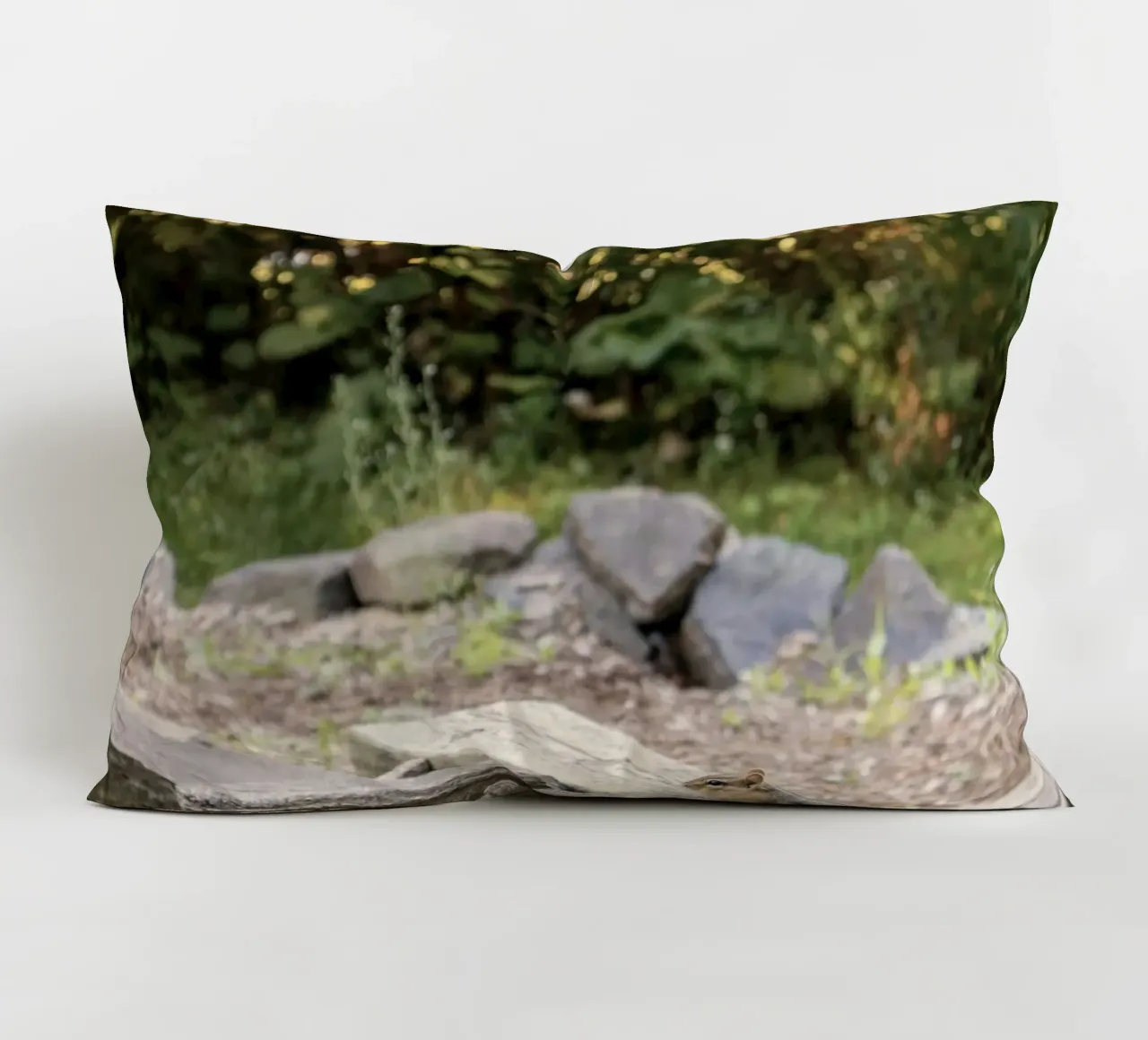 scoiattolo con rocce cuscino da animal story home