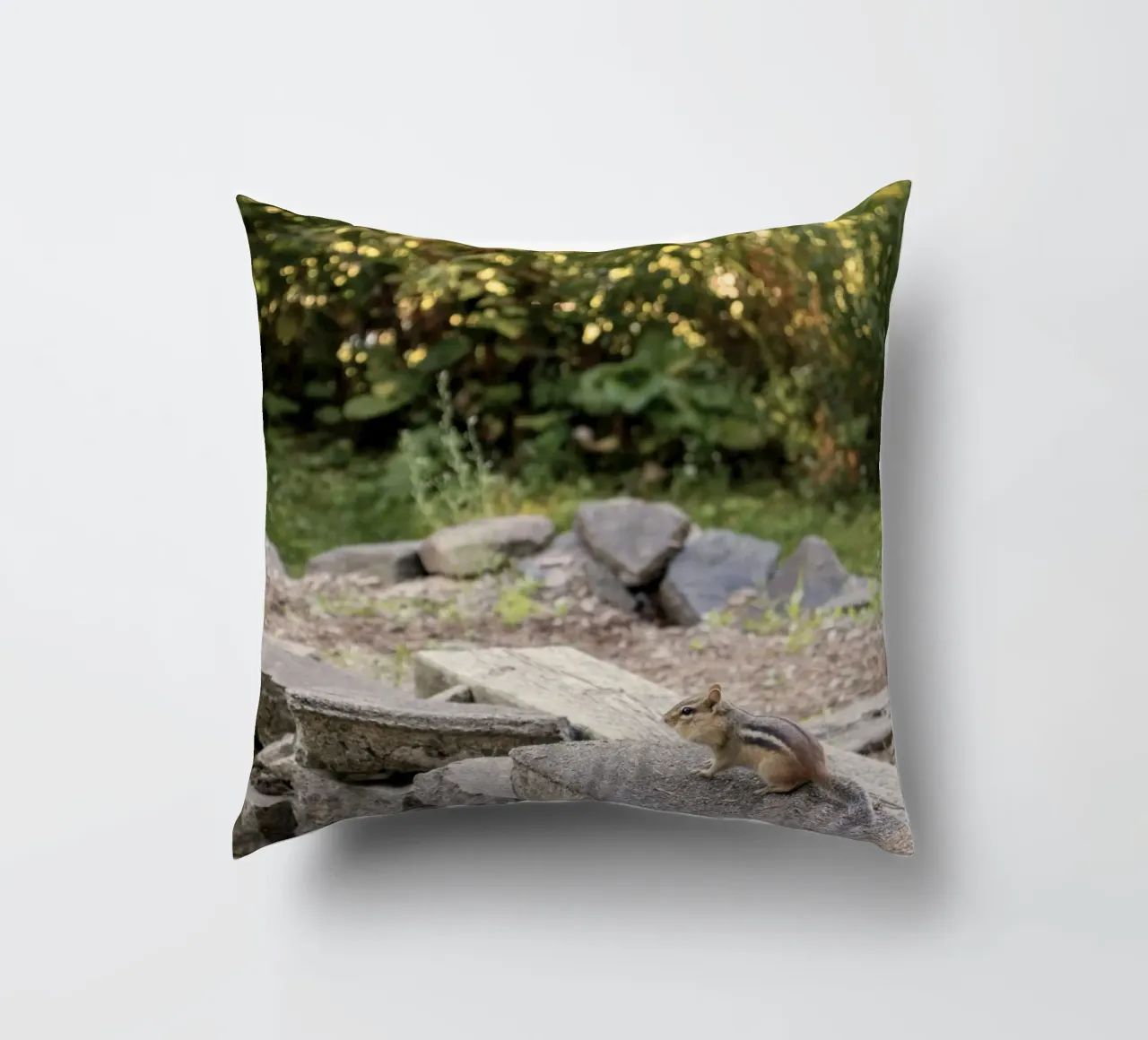 scoiattolo con rocce cuscino da animal story home