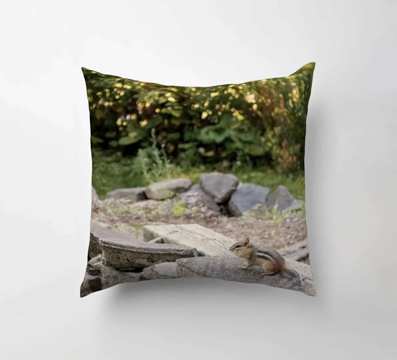 scoiattolo con rocce cuscino da animal story home