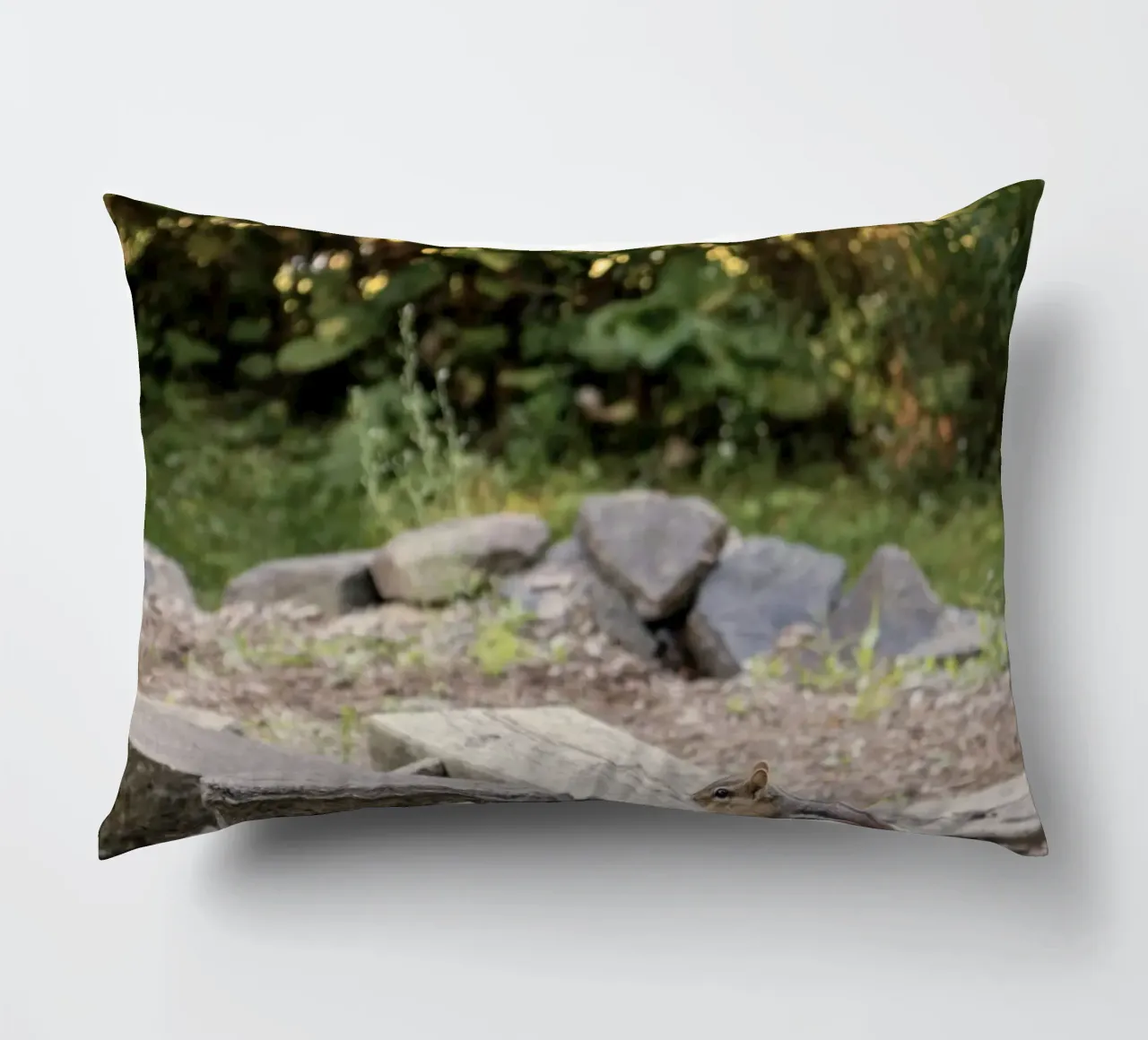 scoiattolo con rocce cuscino da animal story home