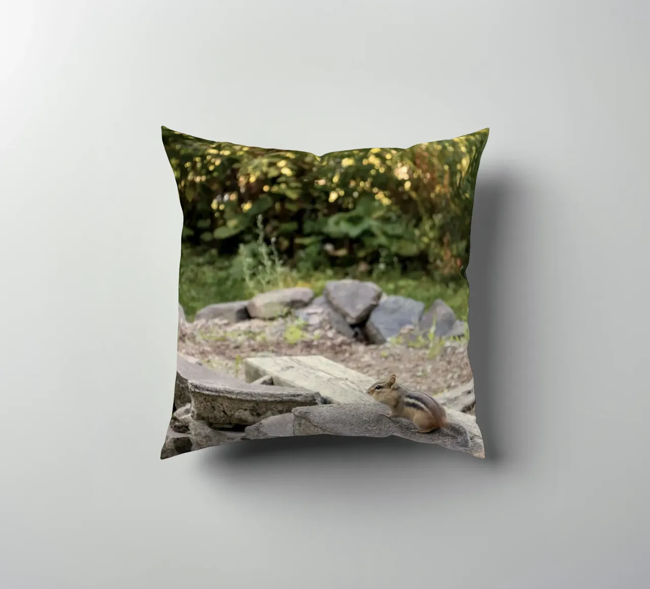 scoiattolo con rocce cuscino da animal story home