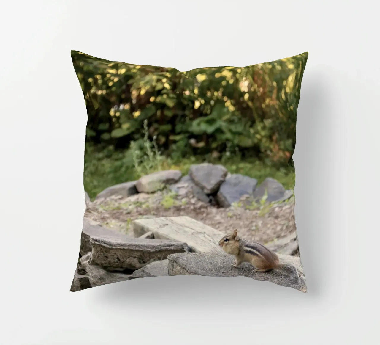 scoiattolo con rocce cuscino da animal story home