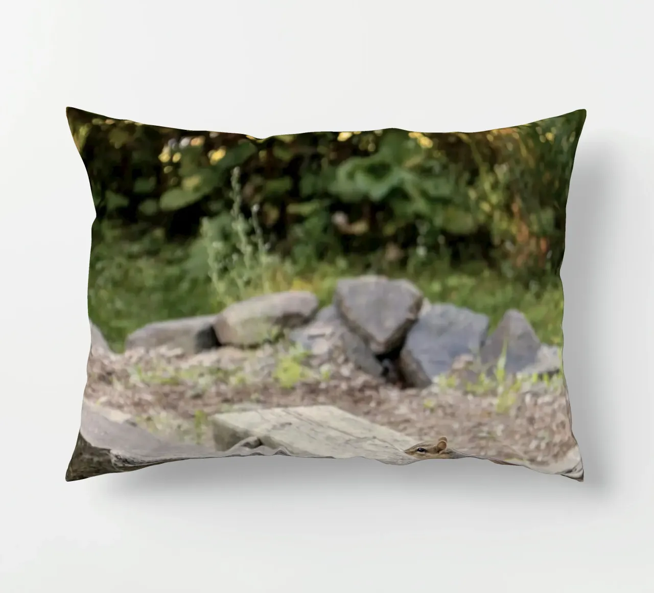 scoiattolo con rocce cuscino da animal story home