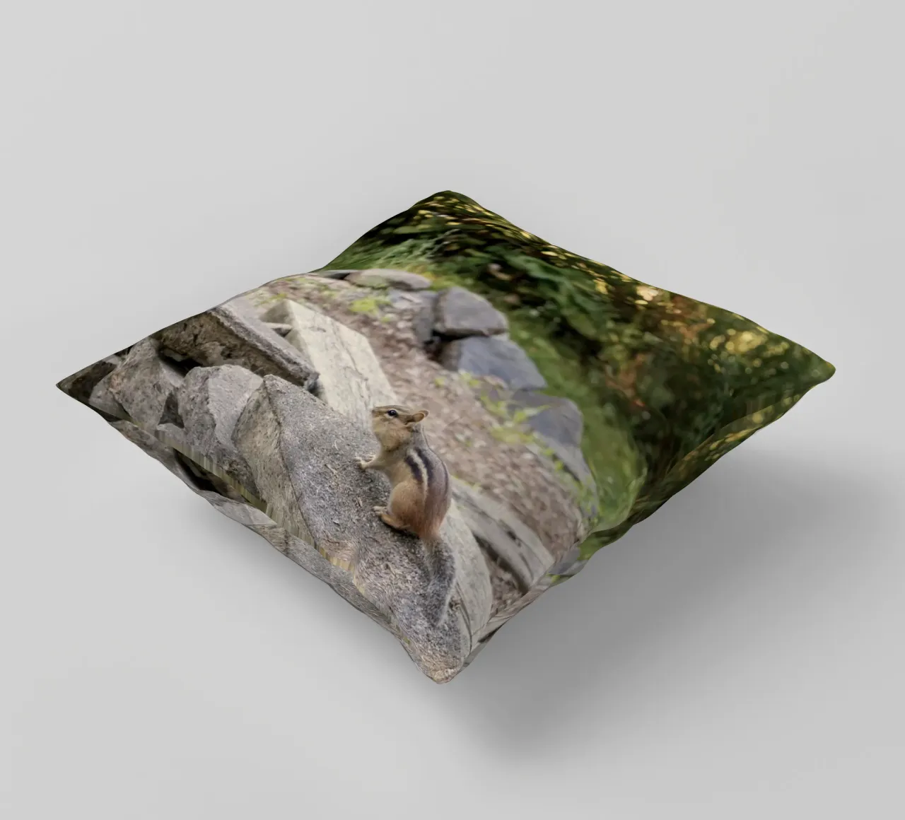 scoiattolo con rocce cuscino da animal story home