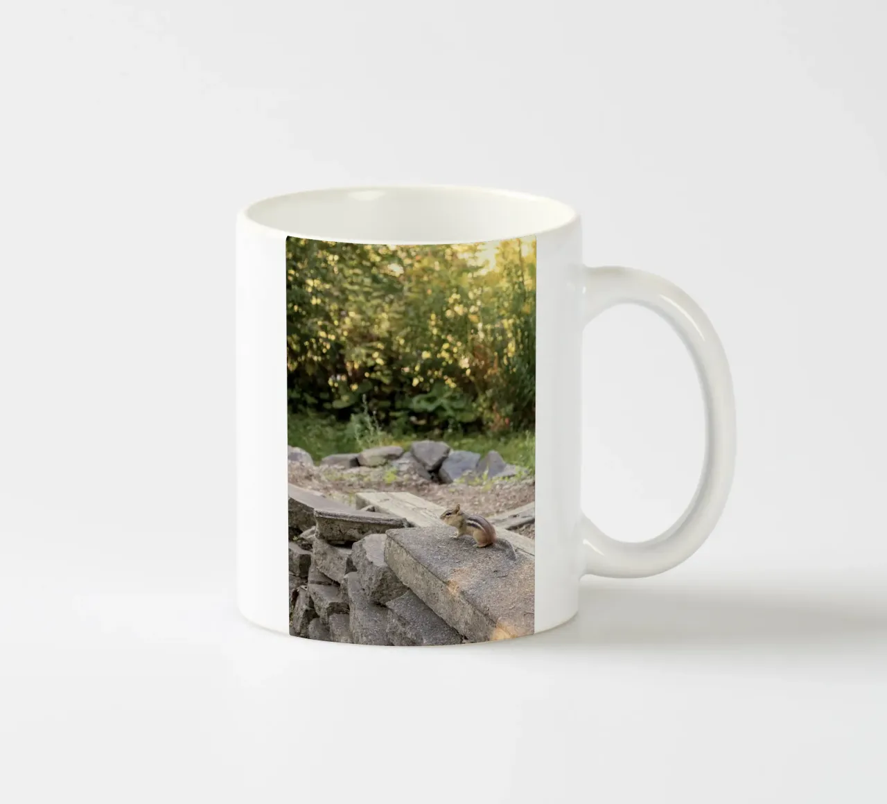 scoiattolo con rocce tazza in ceramica da animal story home