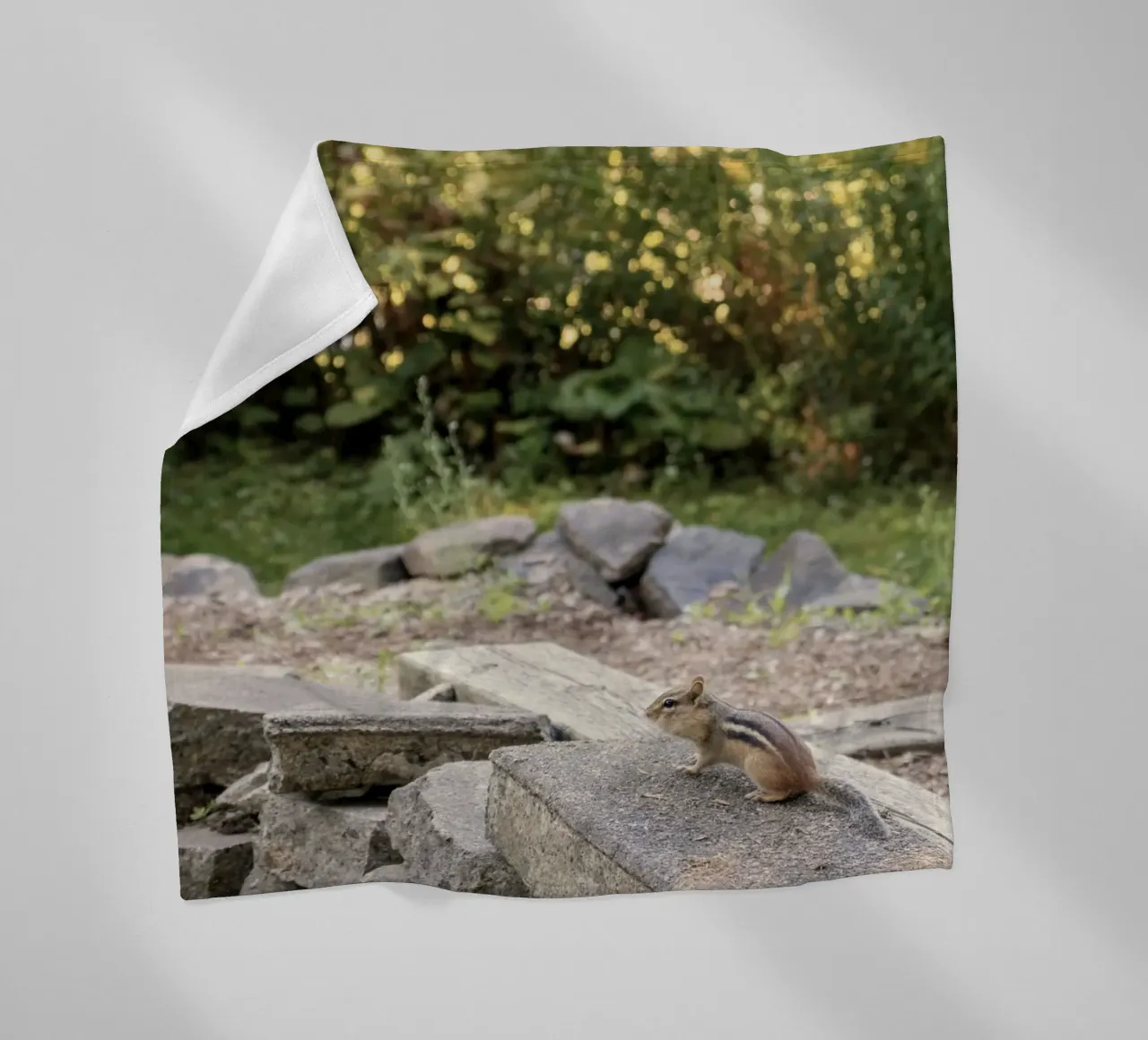 Streifenhörnchen mit Steinen Fleecedecke von animal story home