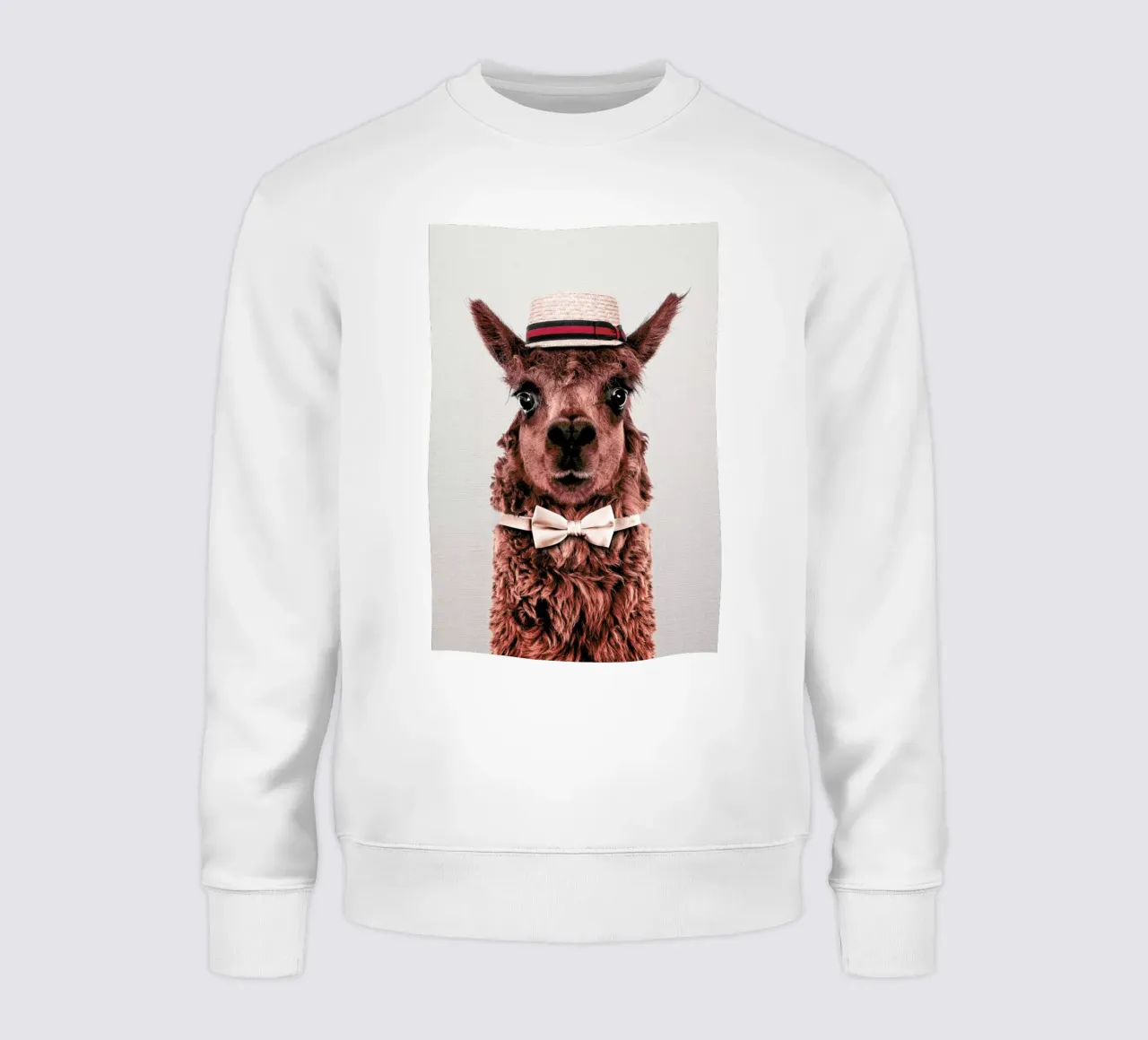 Alpaca felpa da Wouter Rikken