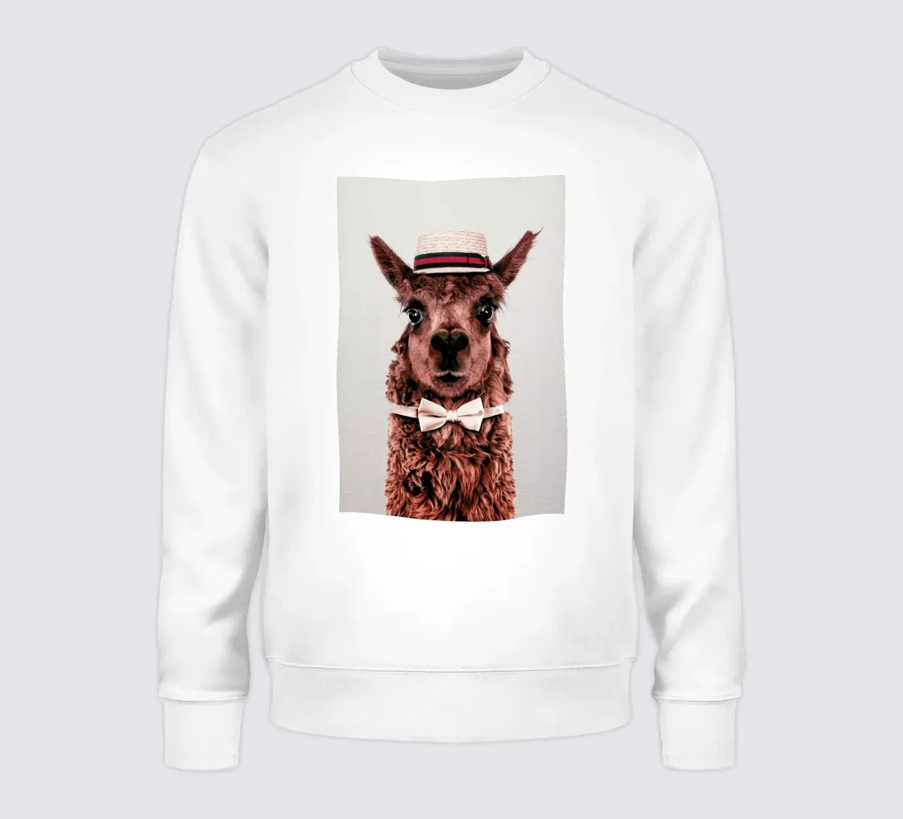 Alpaca felpa da Wouter Rikken
