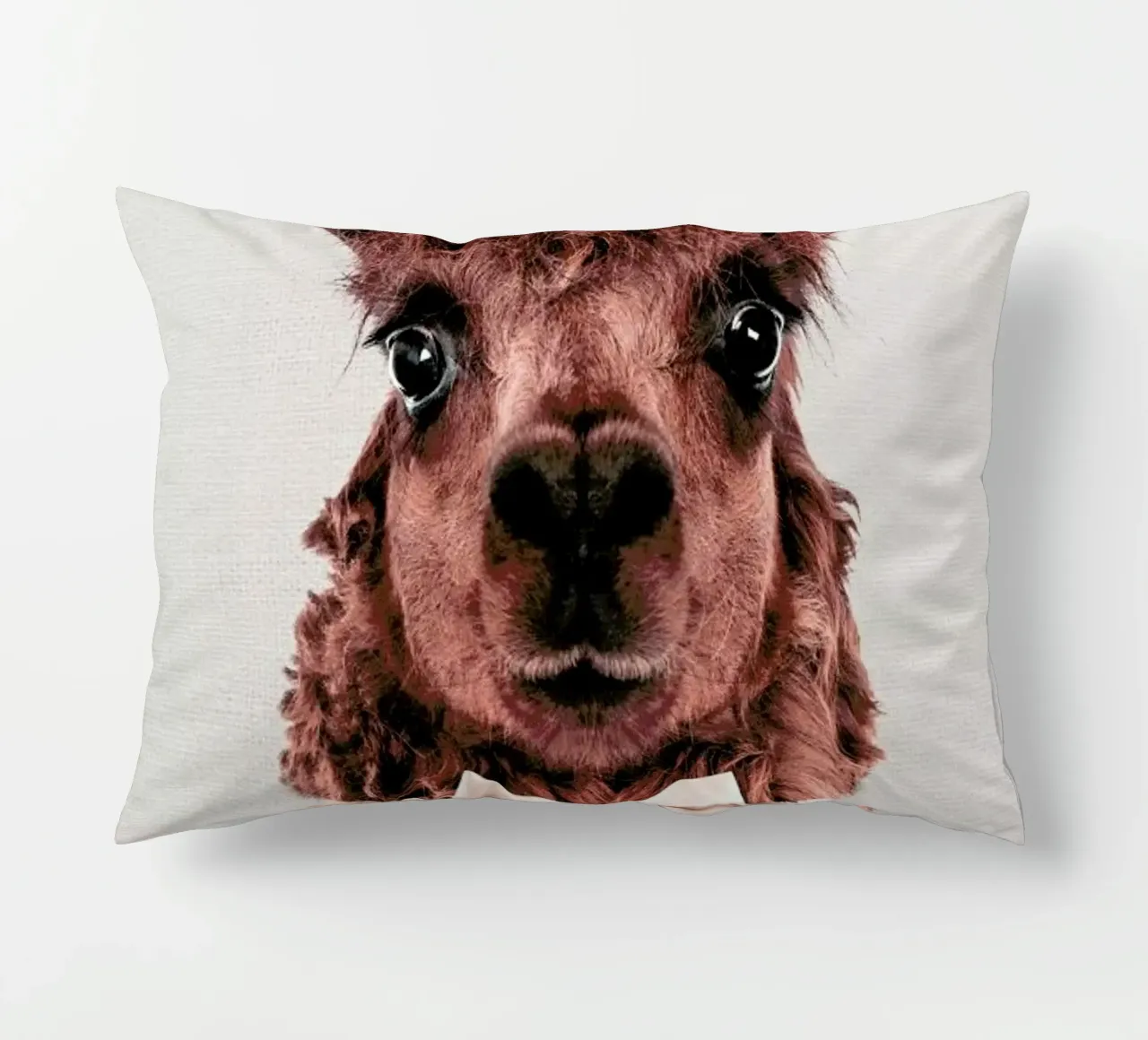 Alpaca cuscino da Wouter Rikken