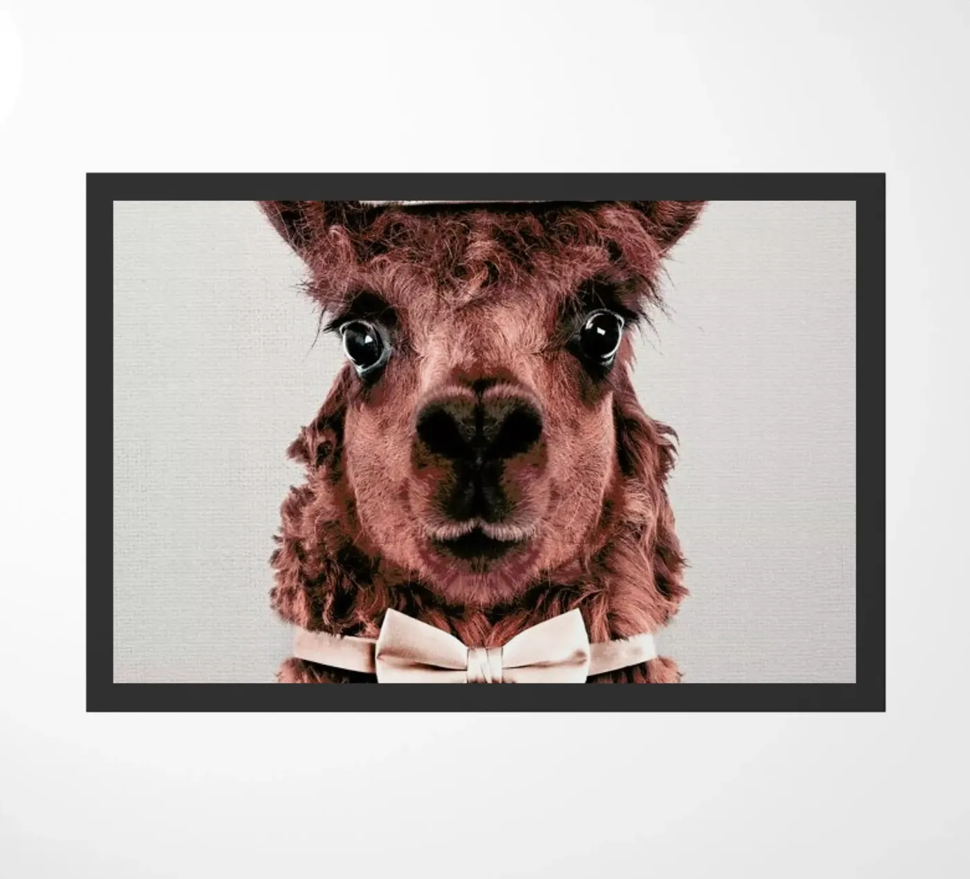 Alpaca doormat by Wouter Rikken