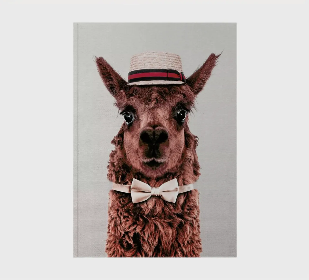 Alpaca notebook by Wouter Rikken