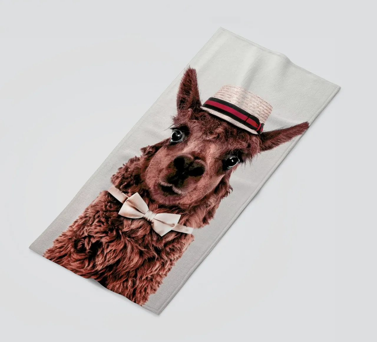 Alpaca telo mare da Wouter Rikken