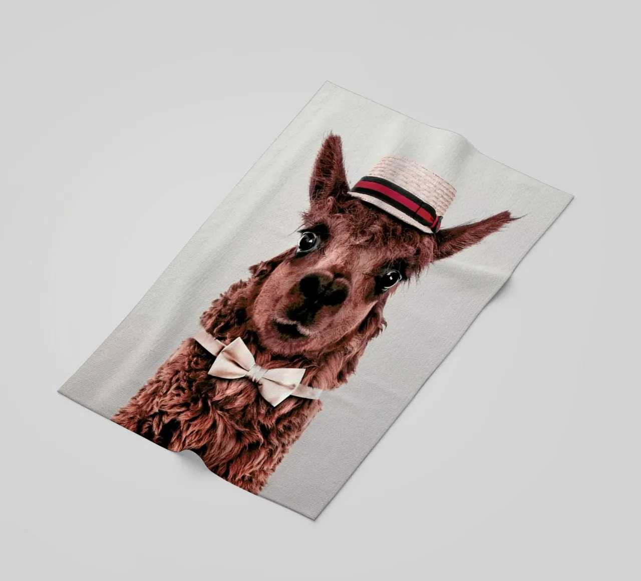 Alpaca telo mare da Wouter Rikken