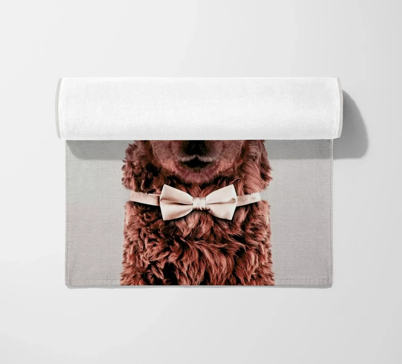 Alpaca telo mare da Wouter Rikken