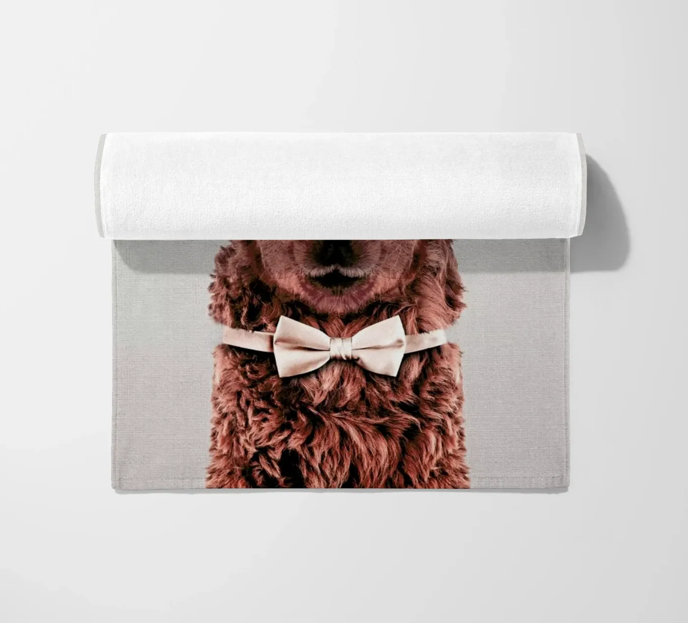 Alpaca telo mare da Wouter Rikken