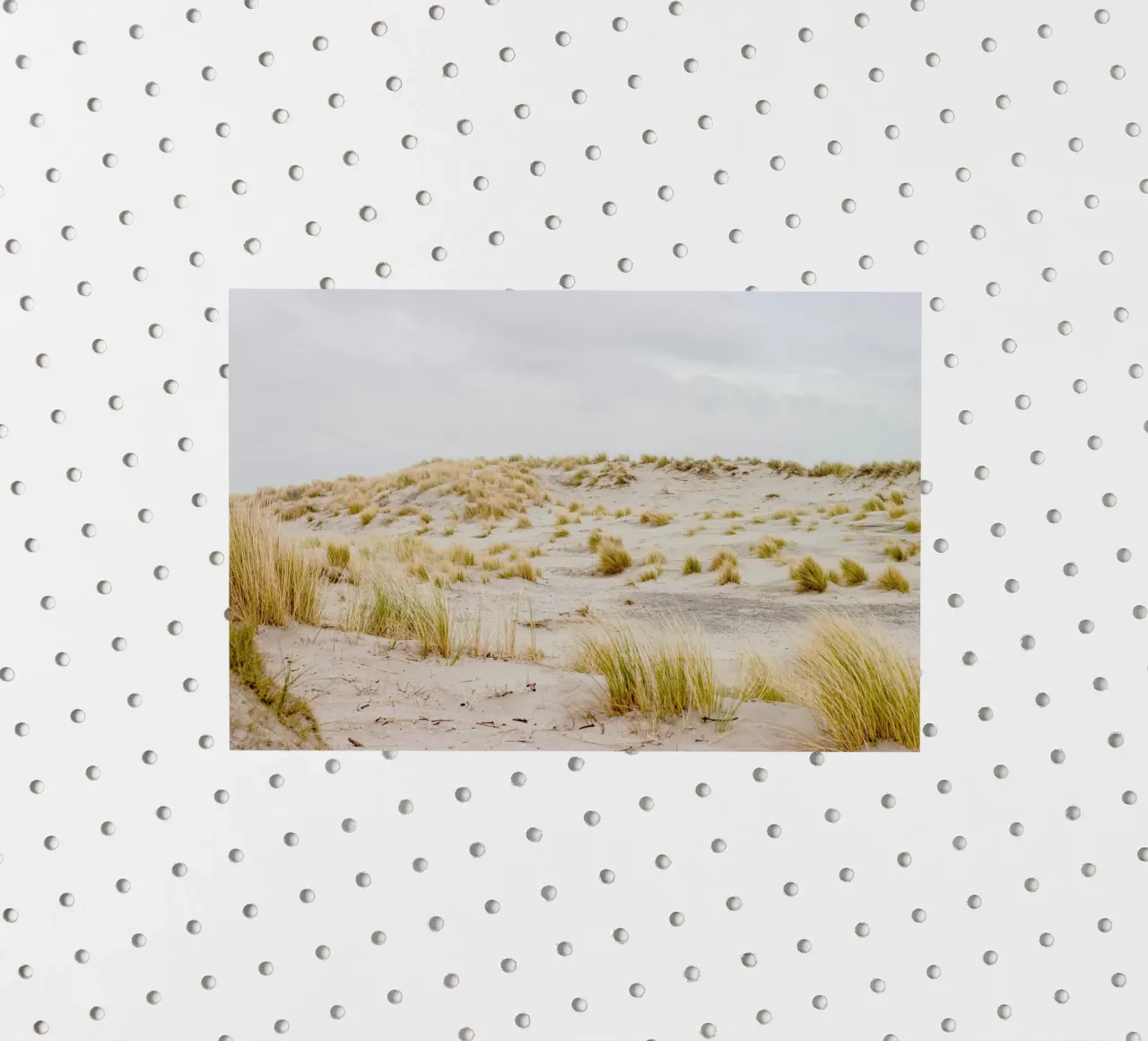 windswept area sticker by life of sands