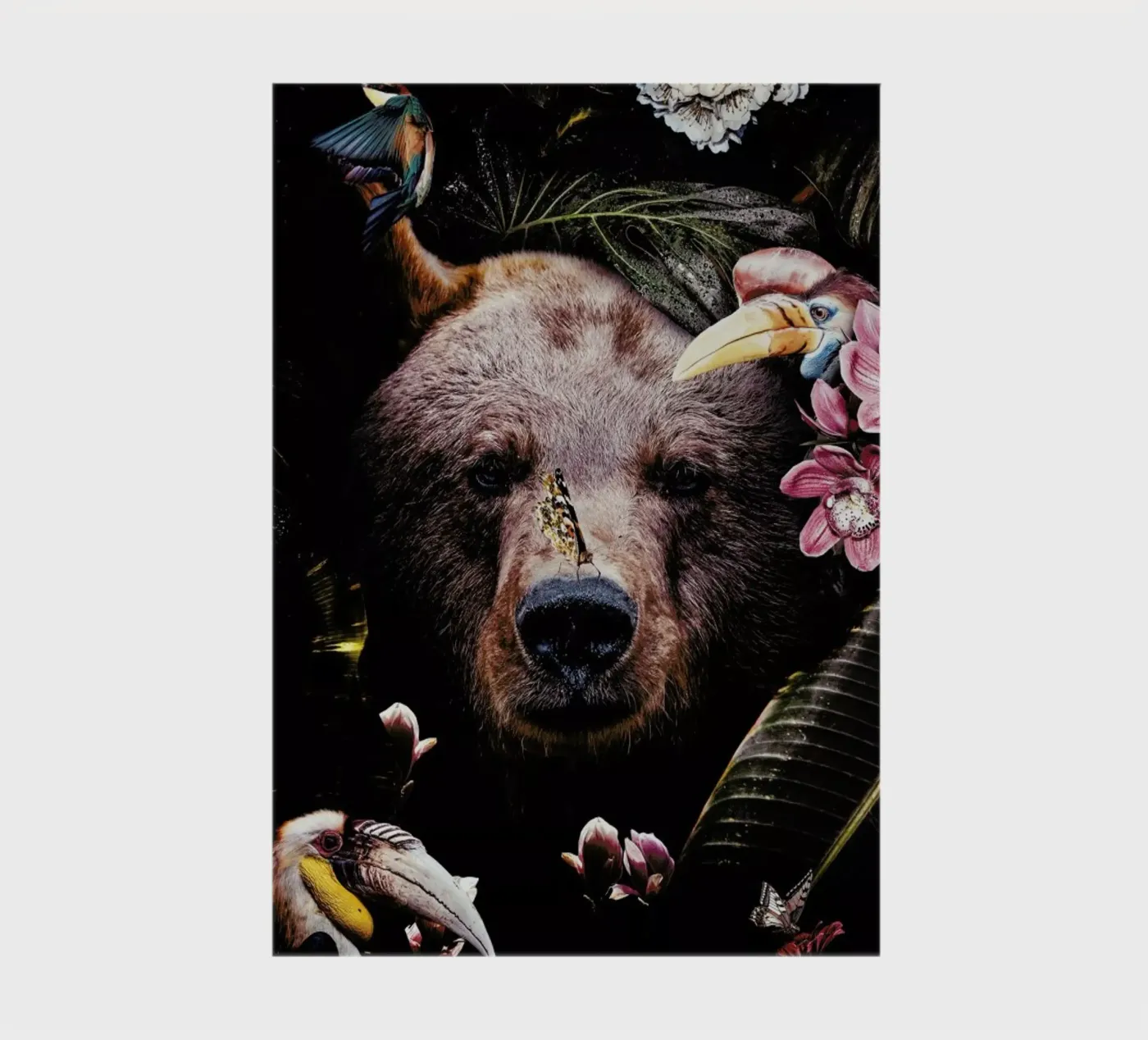 Bear notebook by Wouter Rikken