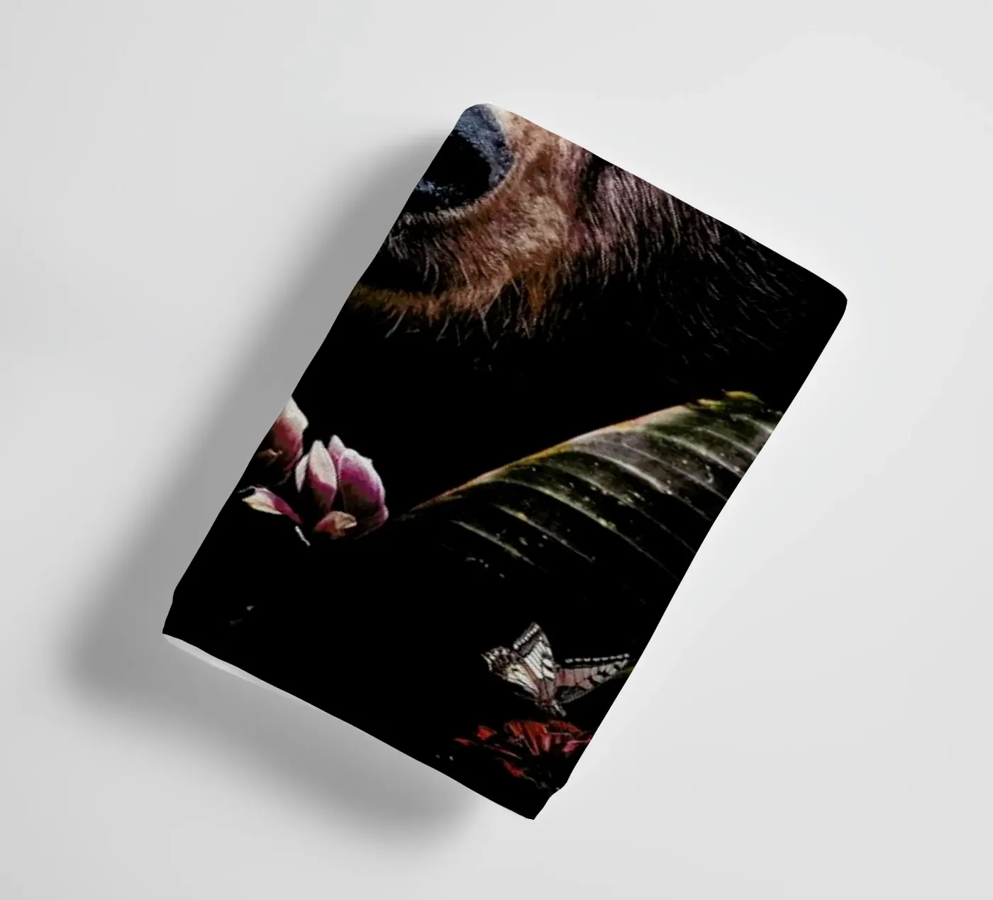 Bear towel by Wouter Rikken