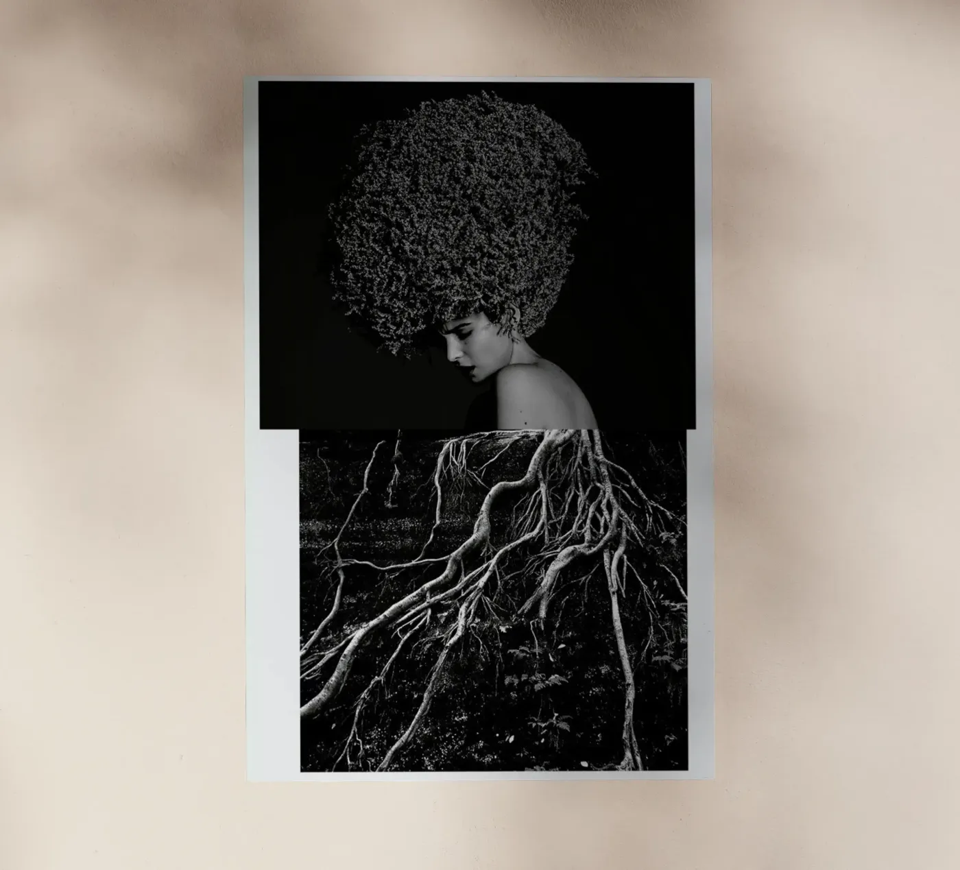 Roots pellicola backlit da Taher Mhamdi