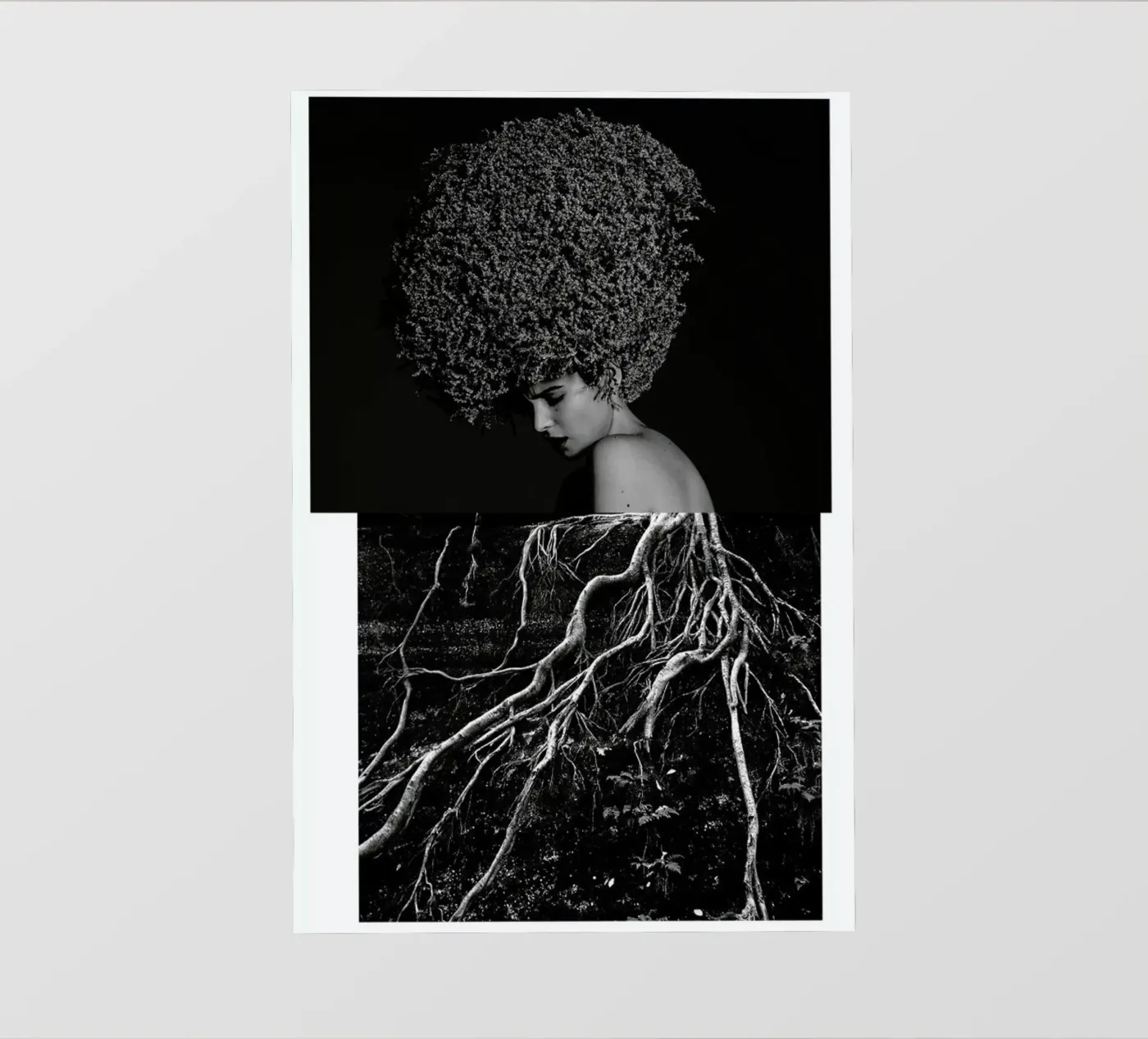 Roots pellicola backlit da Taher Mhamdi