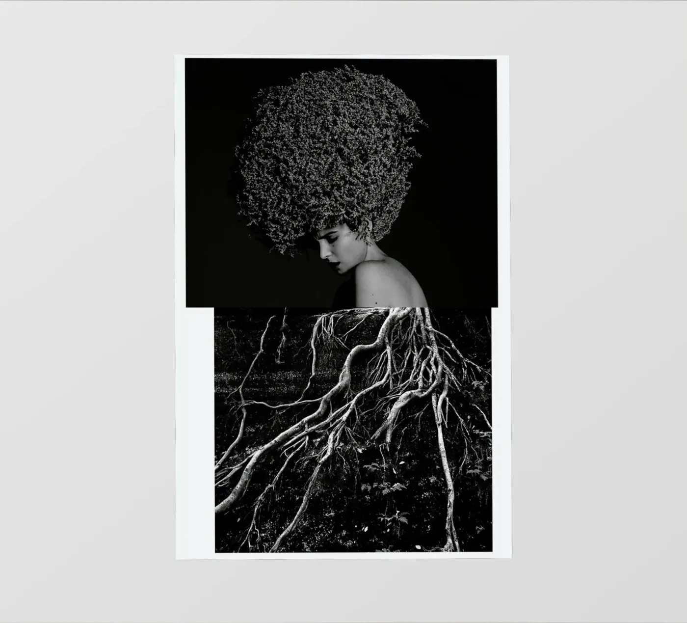 Roots pellicola backlit da Taher Mhamdi