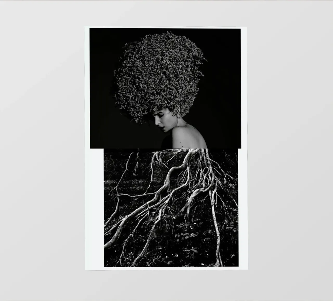 Roots pellicola backlit da Taher Mhamdi