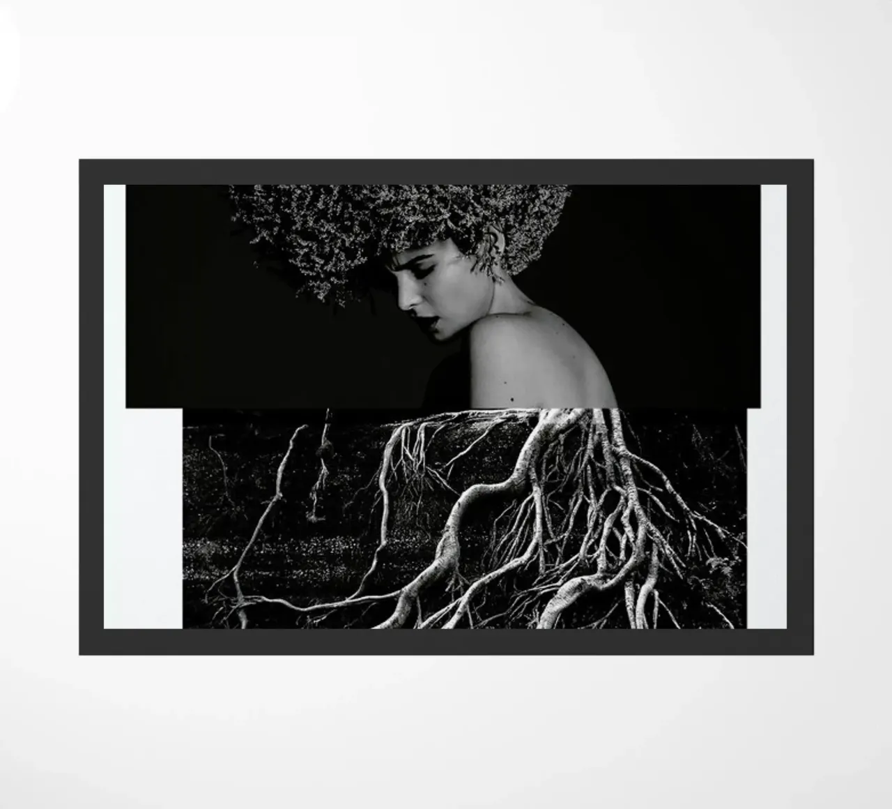 Roots zerbino da Taher Mhamdi