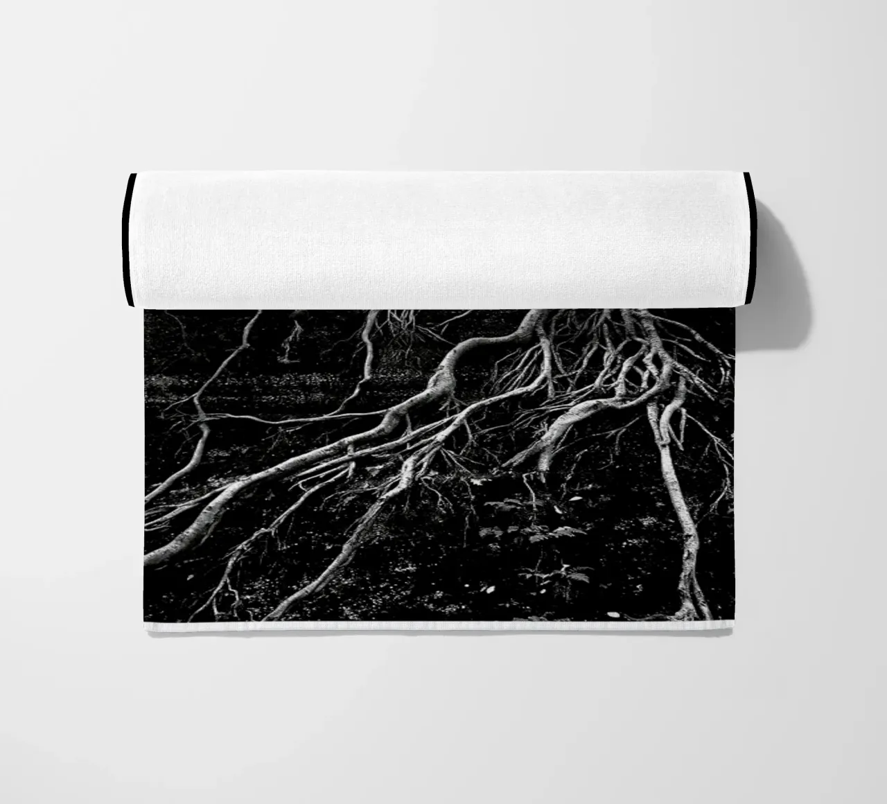 Roots telo mare da Taher Mhamdi