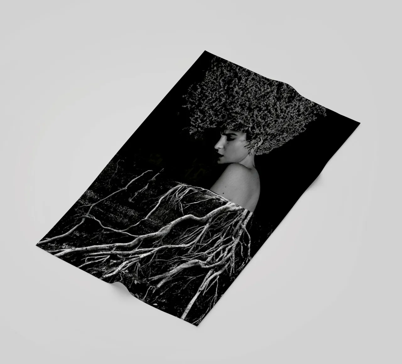 Roots telo mare da Taher Mhamdi