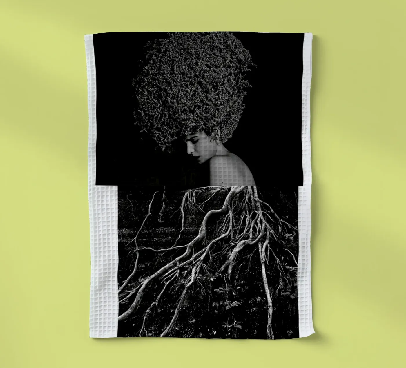 Roots torchon de Taher Mhamdi