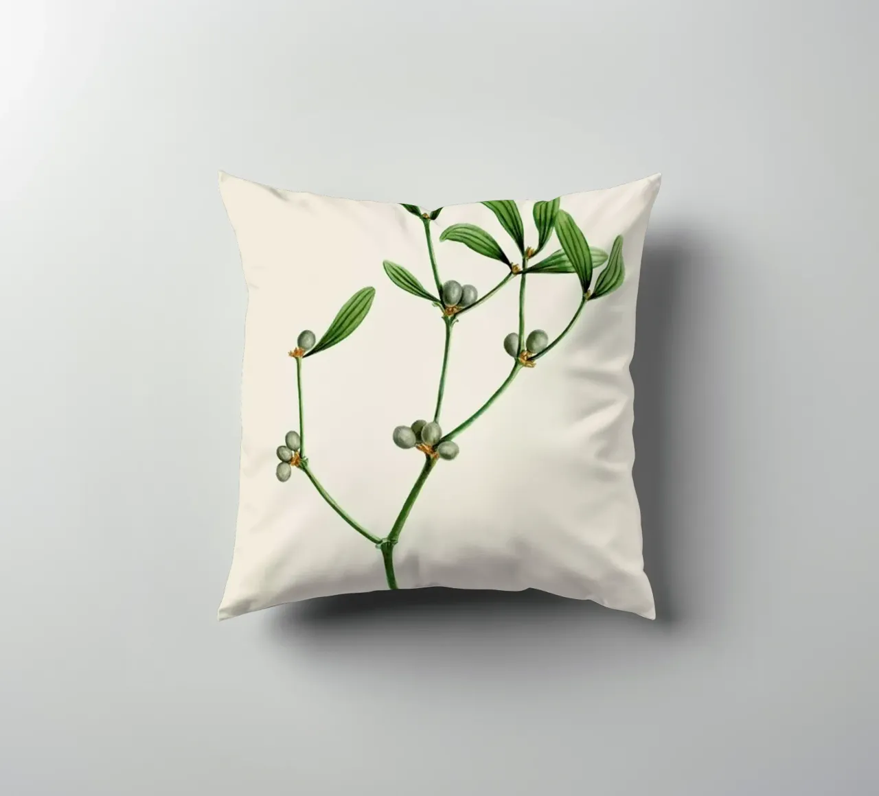 Pierre - Joseph Redouté - Viscom Plant cuscino da Vintage by JUNIQE