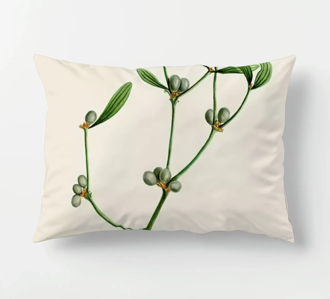 Pierre - Joseph Redouté - Viscom Plant cuscino da Vintage by JUNIQE