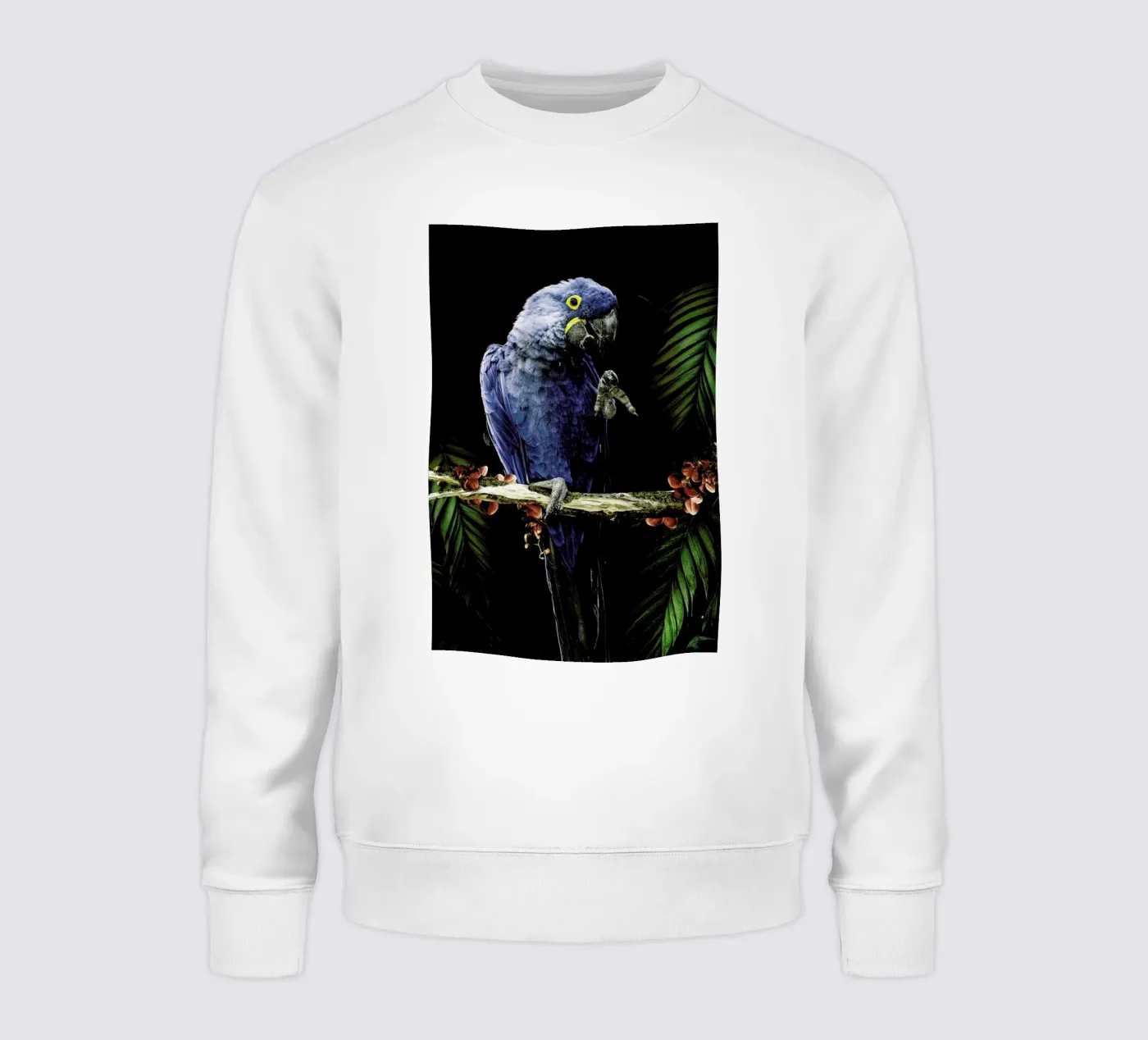 Macaw felpa da Wouter Rikken
